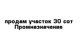 продам участок 30 сот Промназначение